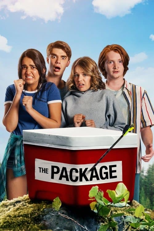 The Package (2018) movie poster - 67% on Rotten Tweets