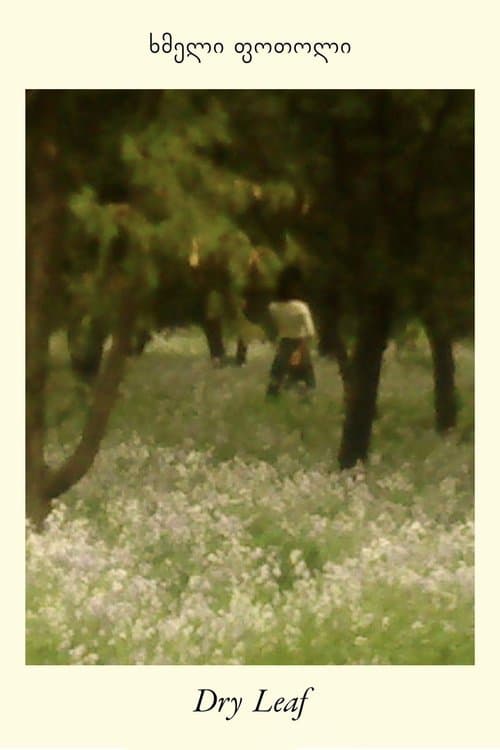 Dry Leaf (2026) movie poster - 100% on Rotten Tweets