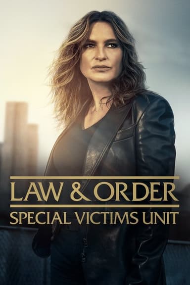 Law & Order: Special Victims Unit (1999) TV show poster