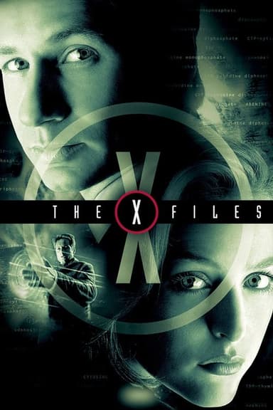 The X-Files (1993) TV show poster
